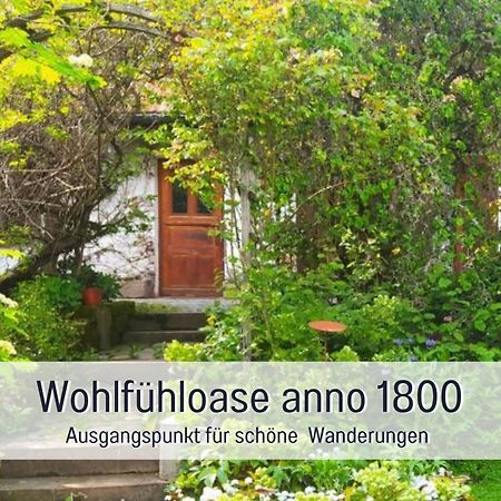 Апартаменты Schweizerblick Hanner Экстерьер фото